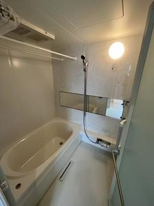 ドルフアルジョン 208号-9