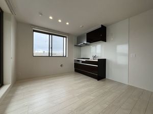 ドルフアルジョン 305号-11