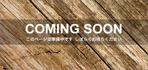 モンテオウリ 305号-10