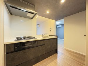 ラ・メゾンドール 203号-3