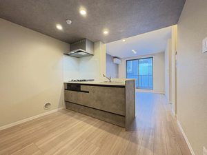 ラ・メゾンドール 405号-2