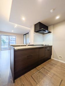 ティエンポ　フェリズ　Ⅰ 108号-5