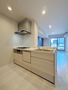 ティエンポ　フェリズ　Ⅰ 206号-4