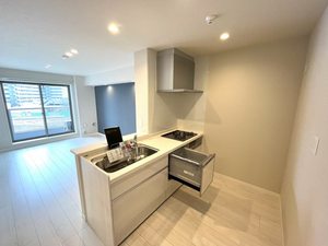 ティエンポ　フェリズ　Ⅰ 305号-4