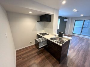 ティエンポ　フェリズ　Ⅰ 311号-3