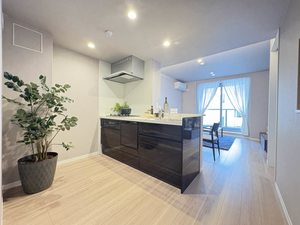 アイル ルィーズ 402号-4