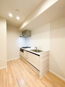 ルミラ　Ⅰ 102号-4