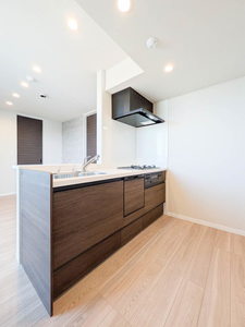 ステラトーン 303号-7