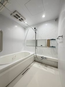 スプリング クレスト 301号-6