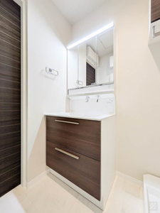デルフィ陸番館 202号-9