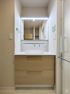デルフィ陸番館 203号-9