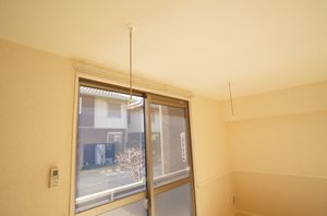 Ｅｌ　ｐａｓｅｏ　Ｄ 101号-5