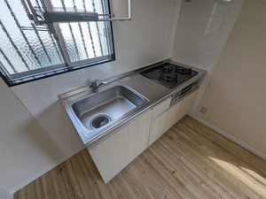 ハイネスアイ 201号-4