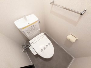 ハイネスアイ 201号-8