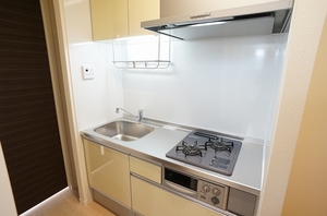 グランドソレイユⅡ 105号-10