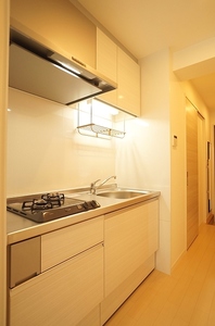 フェルメール 302号-8