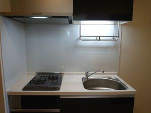 ＣＩＴＹ　ＦＬＡＴＳ 301号-3