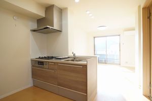 ブリリアントペガサス 301号-4