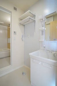 ブリリアントペガサス 301号-8