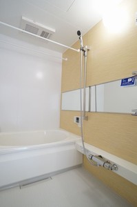 ブリリアントペガサス 301号-10