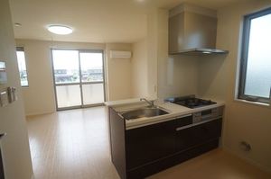 ＮＡＮＡ　Ⅲ 205号-3