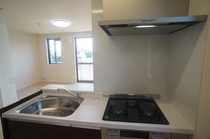 ＮＡＮＡ　Ⅲ 205号-4