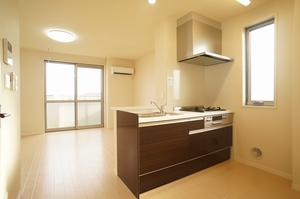 ＮＡＮＡ　Ⅲ 205号-11