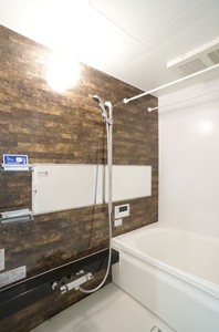 Ｃｈｉｂａｌｙ　Ｔｏｄｏｒｏｋｉ 101号-10