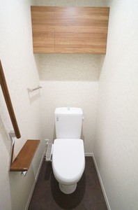 Ｃｈｉｂａｌｙ　Ｔｏｄｏｒｏｋｉ 302号-11