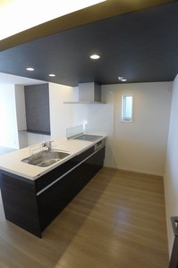 Ｌｕｐｉｎｕｓ 203号-5