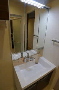 Ｌｕｐｉｎｕｓ 203号-9