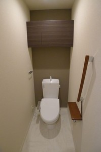 Ｌｕｐｉｎｕｓ 203号-11