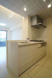 シャーメゾン プレミアス 102号-4