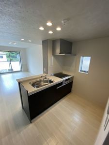 Ｇｒａｎｖａｎｉａ　Ｓｈｉｓｕｉ 305号-7