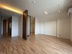 Serdina 305号-2