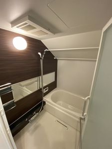 Serdina 305号-9