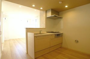 メープルリーフ 201号-3