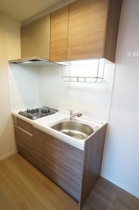 ルートグレイス 301号-6