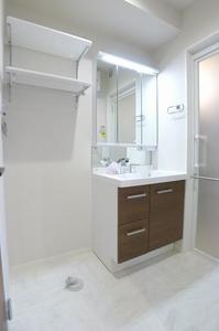 マスターグレイス穴川 307号-7