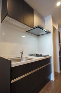 ＮｅｗＲｉｃｈⅥ 101号-6