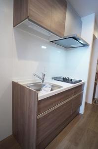 NewRichⅥ 110号-7