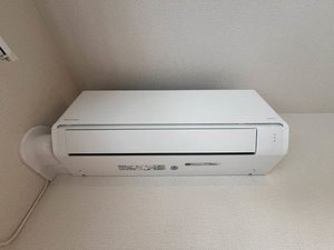 リジェル ドーレ 203号-11