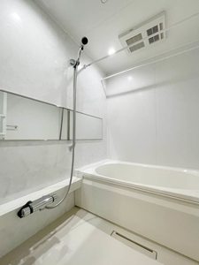 セントリビエ 201号-8