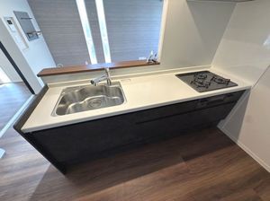 セルディーナ　アイ 205号-4