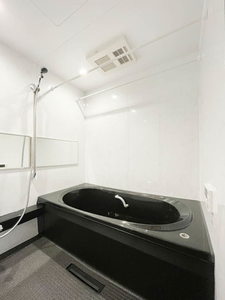 アメジア成田 303号-11