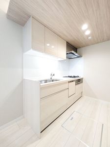 ブリーゼ　アイビー 103号-4