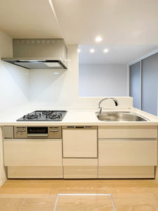 トラストメゾンしらぎく 105号-4