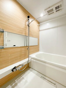 Ｎ　ｍａｉｓｏｎ　Ⅵ 101号-8