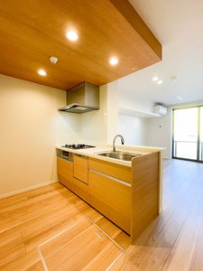 Ｎ　ｍａｉｓｏｎ　Ⅵ 102号-3