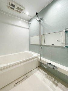 Ｎ　ｍａｉｓｏｎ　Ⅵ 105号-8